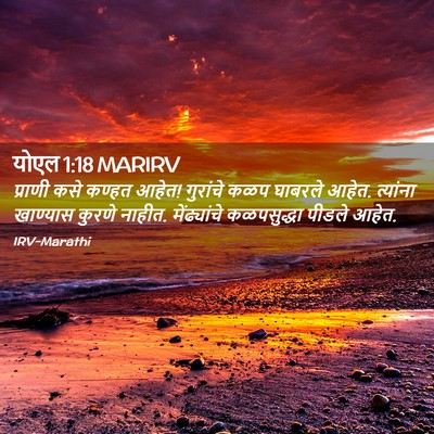 Picture 02 - योएल 1:18 MARIRV - प्राणी कसे कण्हत - Bible Verse Picture