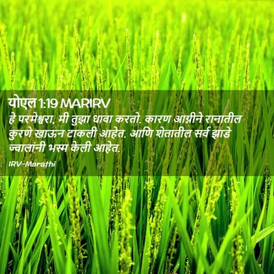 Picture 02 - योएल 1:19 MARIRV - हे परमेश्वरा, मी - Bible Verse Picture