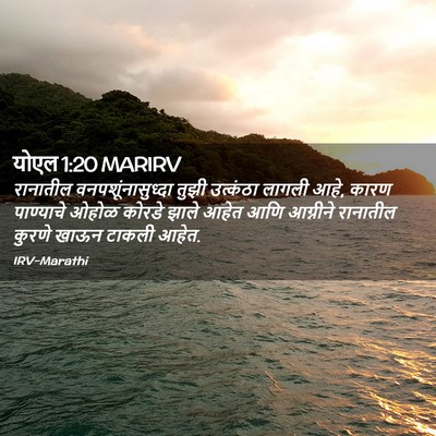Picture 02 - योएल 1:20 MARIRV - रानातील - Bible Verse Picture