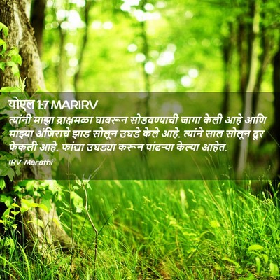 Picture 02 - योएल 1:7 MARIRV - त्यांनी माझा - Bible Verse Picture