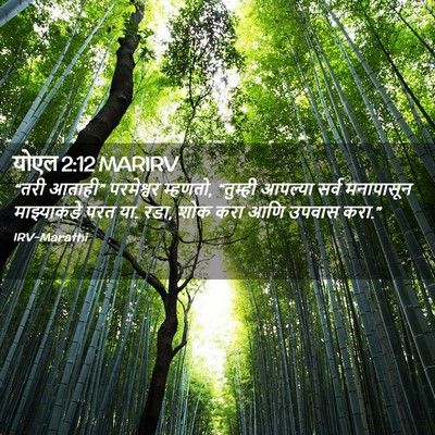 Picture 02 - योएल 2:12 MARIRV - “तरी आताही” - Bible Verse Picture