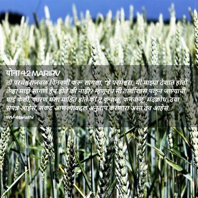 Picture 02 - योना 4:2 MARIRV - तो परमेश्वराजवळ - Bible Verse Picture