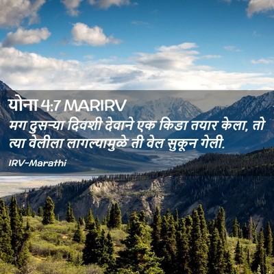Picture 02 - योना 4:7 MARIRV - मग दुसऱ्या दिवशी - Bible Verse Picture