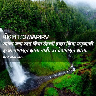 Picture 02 - योहान 1:13 MARIRV - त्यांचा जन्म रक्त - Bible Verse Picture