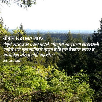 Picture 02 - योहान 1:50 MARIRV - येशूने त्यास - Bible Verse Picture