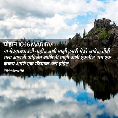 Picture 02 - योहान 10:16 MARIRV - या मेंढवाड्यातली - Bible Verse Picture