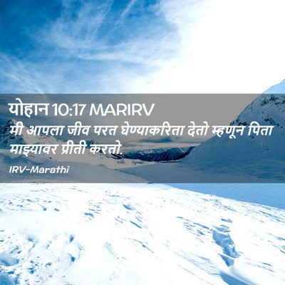 Picture 02 - योहान 10:17 MARIRV - मी आपला जीव परत - Bible Verse Picture