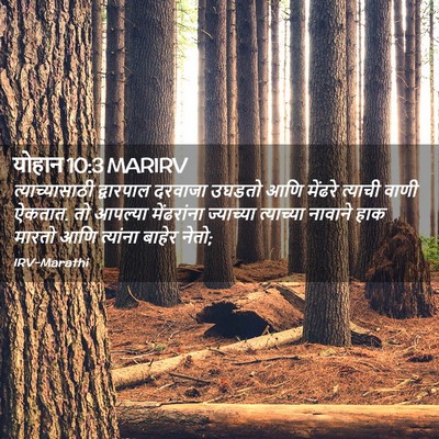Picture 02 - योहान 10:3 MARIRV - त्याच्यासाठी - Bible Verse Picture