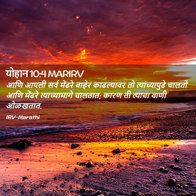Picture 02 - योहान 10:4 MARIRV - आणि आपली सर्व - Bible Verse Picture