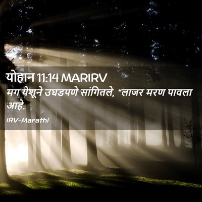 Picture 02 - योहान 11:14 MARIRV - मग येशूने उघडपणे - Bible Verse Picture