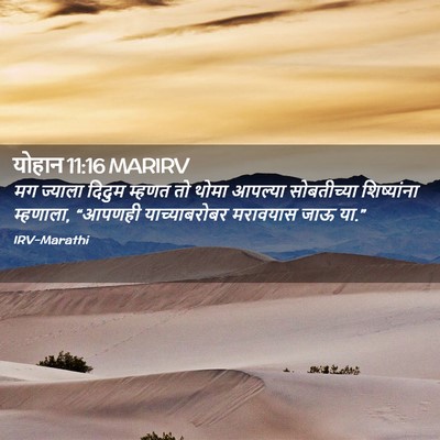 Picture 02 - योहान 11:16 MARIRV - मग ज्याला दिदुम - Bible Verse Picture