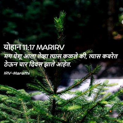 Picture 02 - योहान 11:17 MARIRV - मग येशू आला तेव्हा - Bible Verse Picture