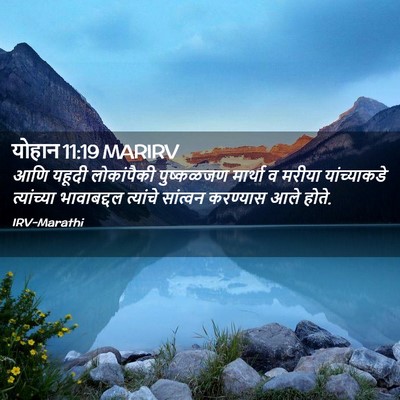 Picture 02 - योहान 11:19 MARIRV - आणि यहूदी - Bible Verse Picture