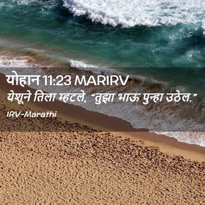 Picture 02 - योहान 11:23 MARIRV - येशूने तिला - Bible Verse Picture