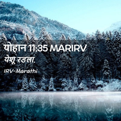 Picture 02 - योहान 11:35 MARIRV - येशू - Bible Verse Picture