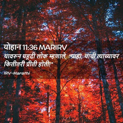 Picture 02 - योहान 11:36 MARIRV - यावरुन यहूदी लोक - Bible Verse Picture