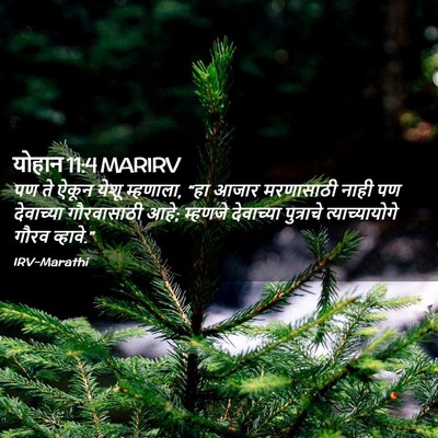 Picture 02 - योहान 11:4 MARIRV - पण ते ऐकून येशू - Bible Verse Picture