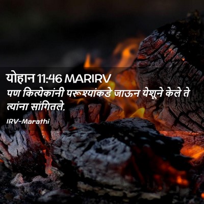 Picture 02 - योहान 11:46 MARIRV - पण कित्येकांनी - Bible Verse Picture