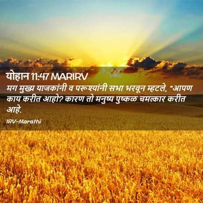 Picture 02 - योहान 11:47 MARIRV - मग मुख्य याजकांनी - Bible Verse Picture
