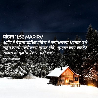 Picture 02 - योहान 11:56 MARIRV - आणि ते येशूला - Bible Verse Picture