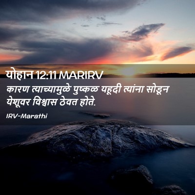 Picture 02 - योहान 12:11 MARIRV - कारण त्याच्यामुळे - Bible Verse Picture