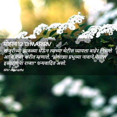 Picture 02 - योहान 12:13 MARIRV - खजुरीच्या झावळ्या - Bible Verse Picture