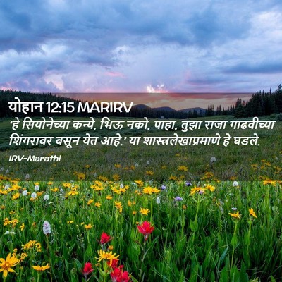 Picture 02 - योहान 12:15 MARIRV - ‘हे सियोनेच्या - Bible Verse Picture