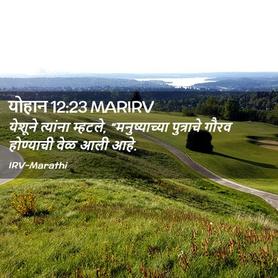 Picture 02 - योहान 12:23 MARIRV - येशूने त्यांना - Bible Verse Picture