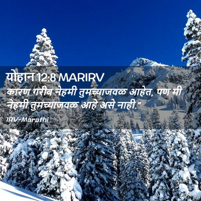 Picture 02 - योहान 12:8 MARIRV - कारण गरीब नेहमी - Bible Verse Picture