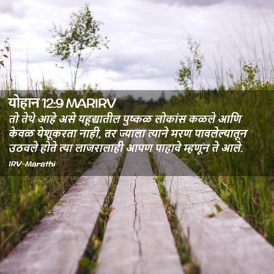 Picture 02 - योहान 12:9 MARIRV - तो तेथे आहे असे - Bible Verse Picture