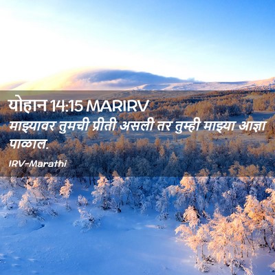 Picture 02 - योहान 14:15 MARIRV - माझ्यावर तुमची - Bible Verse Picture
