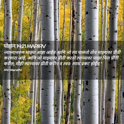 Picture 02 - योहान 14:21 MARIRV - ज्याच्याजवळ - Bible Verse Picture