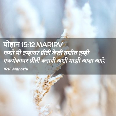 Picture 02 - योहान 15:12 MARIRV - जशी मी तुम्हावर - Bible Verse Picture