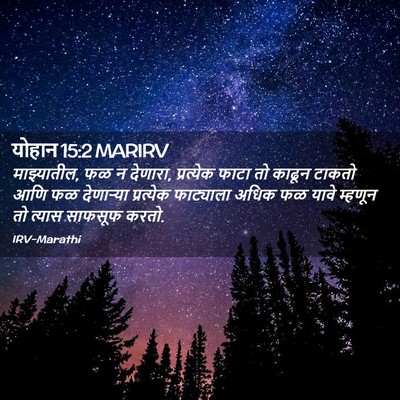 Picture 02 - योहान 15:2 MARIRV - माझ्यातील, फळ न - Bible Verse Picture