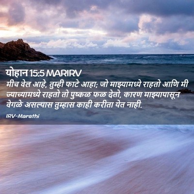 Picture 02 - योहान 15:5 MARIRV - मीच वेल आहे, तुम्ही - Bible Verse Picture