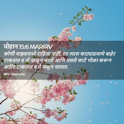 Picture 02 - योहान 15:6 MARIRV - कोणी माझ्यामध्ये - Bible Verse Picture
