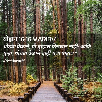 Picture 02 - योहान 16:16 MARIRV - थोड्या वेळाने, मी - Bible Verse Picture