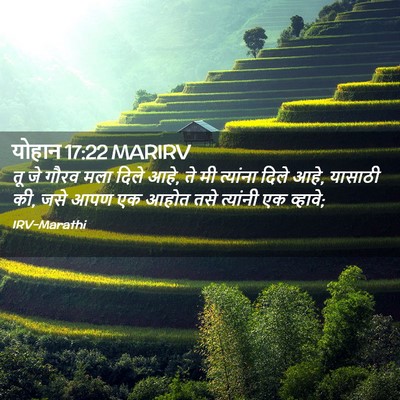Picture 02 - योहान 17:22 MARIRV - तू जे गौरव मला दिले - Bible Verse Picture