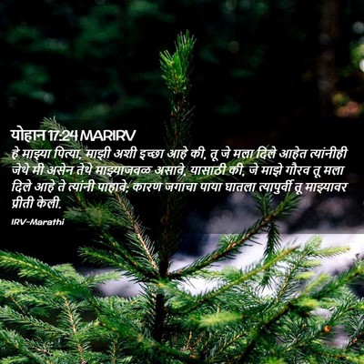 Picture 02 - योहान 17:24 MARIRV - हे माझ्या पित्या, - Bible Verse Picture