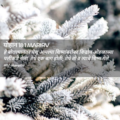 Picture 02 - योहान 18:1 MARIRV - हे बोलल्यानंतर - Bible Verse Picture