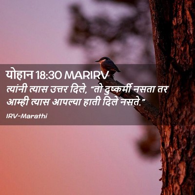 Picture 02 - योहान 18:30 MARIRV - त्यांनी त्यास - Bible Verse Picture