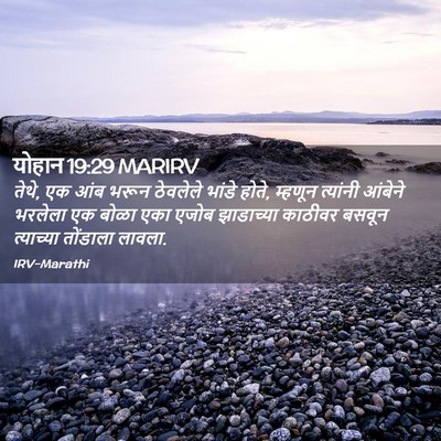Picture 02 - योहान 19:29 MARIRV - तेथे, एक आंब भरून - Bible Verse Picture