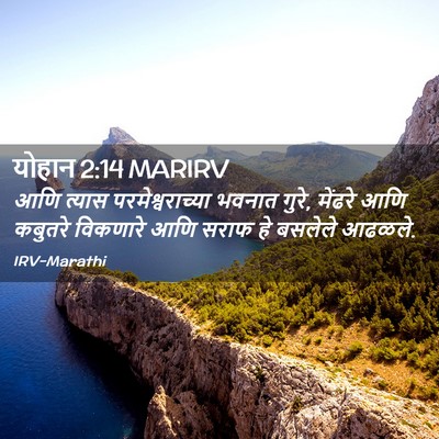 Picture 02 - योहान 2:14 MARIRV - आणि त्यास - Bible Verse Picture