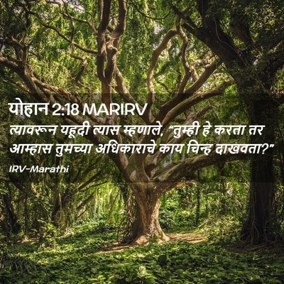 Picture 02 - योहान 2:18 MARIRV - त्यावरून यहूदी - Bible Verse Picture