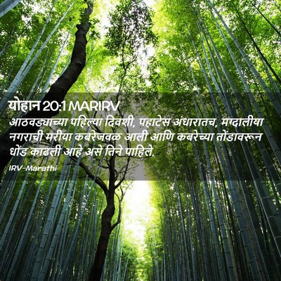 Picture 02 - योहान 20:1 MARIRV - आठवड्याच्या - Bible Verse Picture