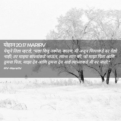 Picture 02 - योहान 20:17 MARIRV - येशूने तिला - Bible Verse Picture