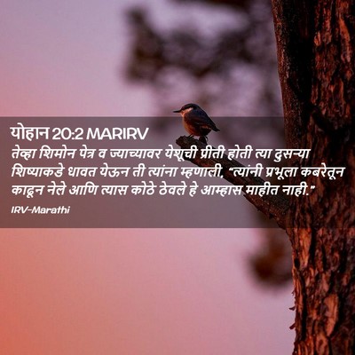 Picture 02 - योहान 20:2 MARIRV - तेव्हा शिमोन - Bible Verse Picture