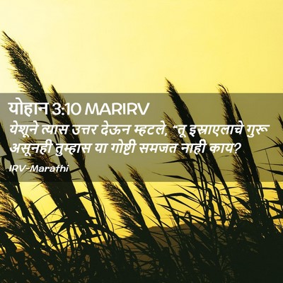 Picture 02 - योहान 3:10 MARIRV - येशूने त्यास - Bible Verse Picture