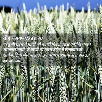 Picture 02 - योहान 4:14 MARIRV - परंतु मी देईन ते - Bible Verse Picture