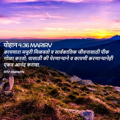 Picture 02 - योहान 4:36 MARIRV - कापणारा मजुरी - Bible Verse Picture